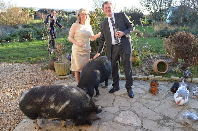 Winter Weddings