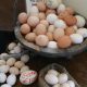 Goose, duck, chicken & bantam free range eggs