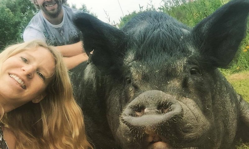 Best selfie ever! Pet pig George posed happily with Hayley.