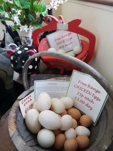 Goose eggs for sale at the farm